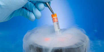 Custom Cryogenic Processing