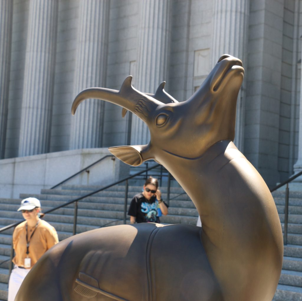 Pronghorn Antelope After Dry Ice Blasting Before Waxing