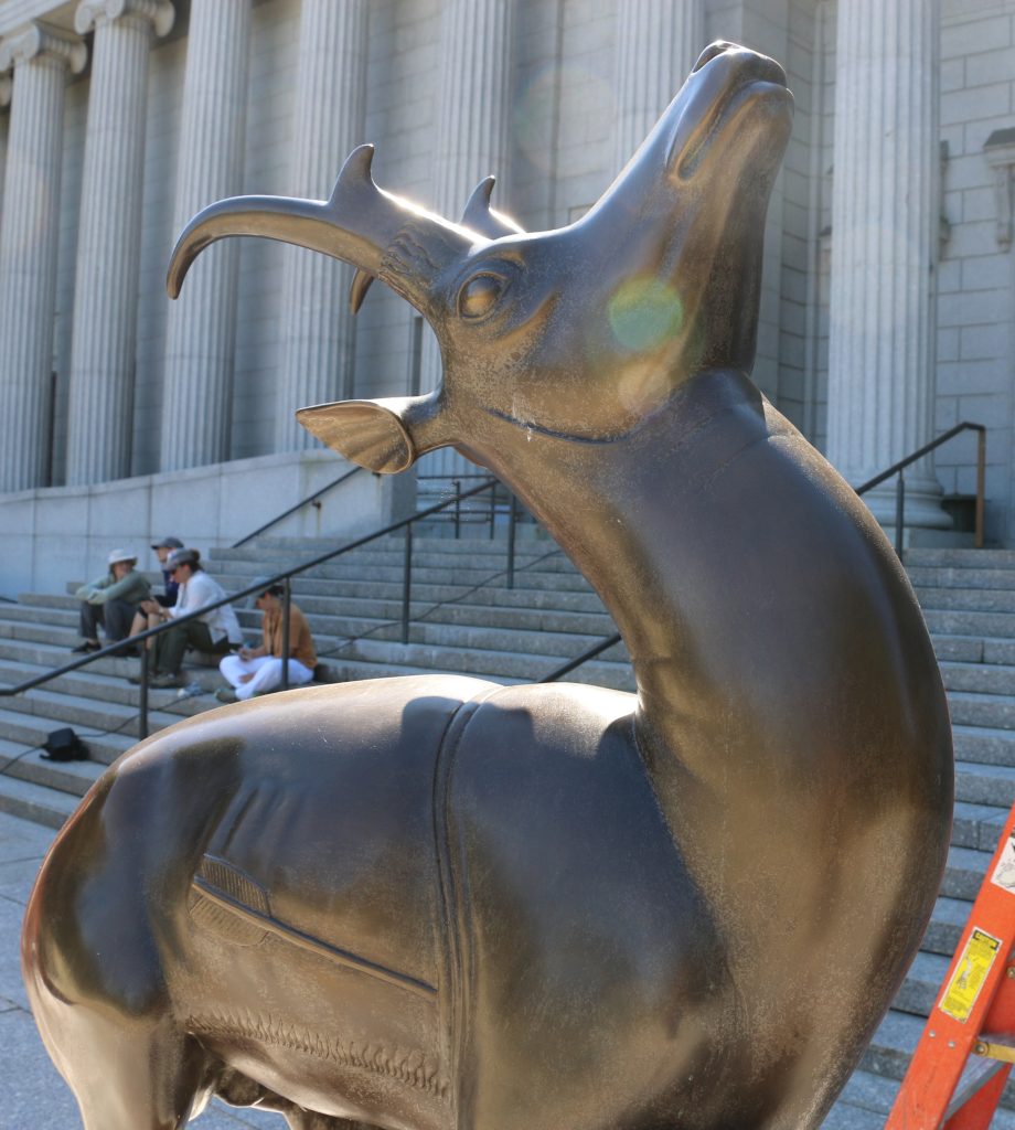 Pronghorn Antelope Before Dry Ice Blasting